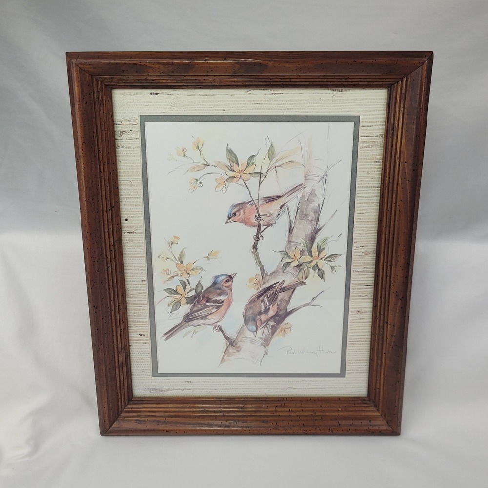 Paul Whitney Hunter Signed Bird Art Print Framed Nature Lithograph 12.5x15.5
